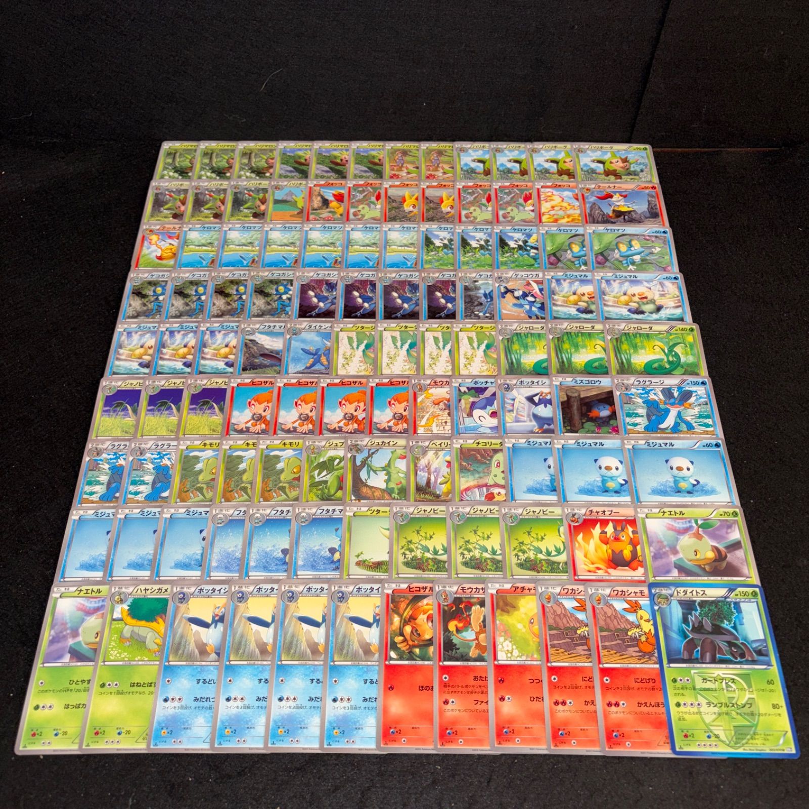 A140 ポケカ ポケモンカード BW,XYシリーズ 108枚 大量セット まとめ売り 御三家 ドダイトス ワカシャモ アチャモ ポッタイシ モウカザル ヒコザル ジャローダ ジャノビー ツタージャ ナエトル ミジュマル ラグラージ キモリ ジュプトル