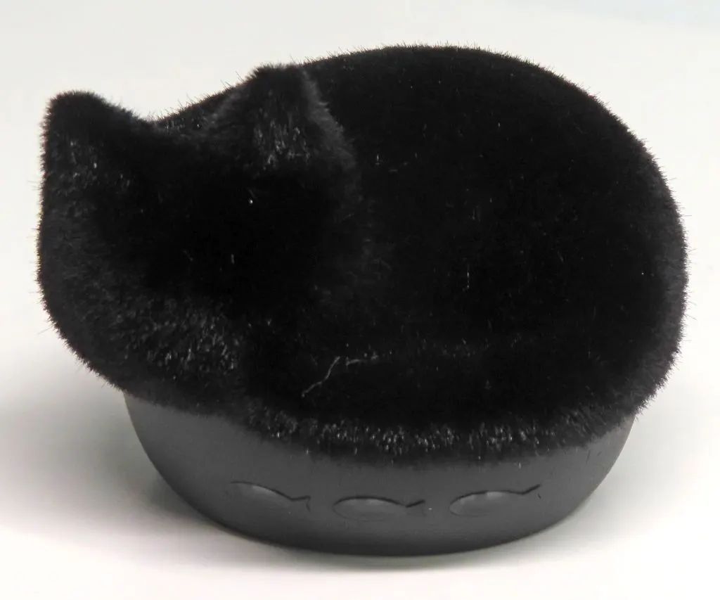 [Used] Headphones Radius Completely Wireless Earphones NEKO Series (Black) [HP-C28BTKF]
