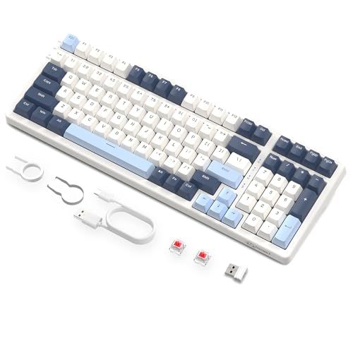 ZIYOU LANG K8 ゲーミングキーボード ワイヤレス メカニカルキーボード 100キー 赤軸 | テンキー ホットスワップ対応 ガスケットマウント カスタムRGBバックライト 2.4Ghz/ BT5.0/USB有線 Windows/M 99cb3eda