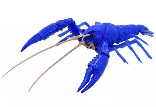 [Brand New] Plastic Model Creature Edition American Crayfish (Blue) “Freedom Research Series No. 24 EX-1” [170879]