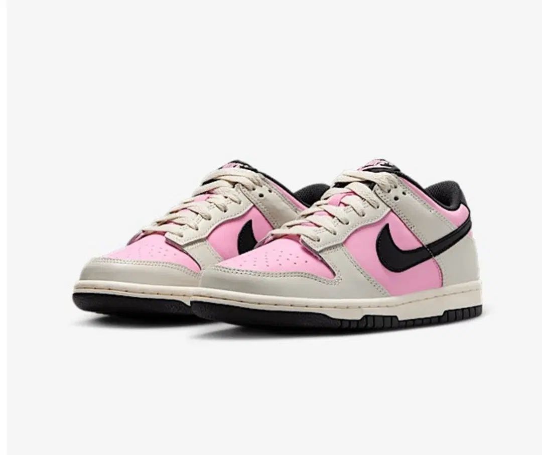 250 NIKE ダンクロー GS キッズ 10,395円