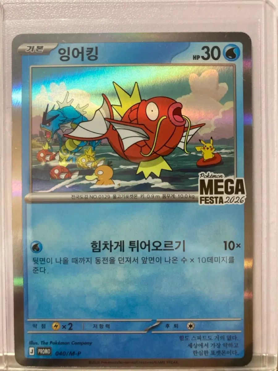 ポケモンカード コイキング MEGAフェスタ 2026 プロモ