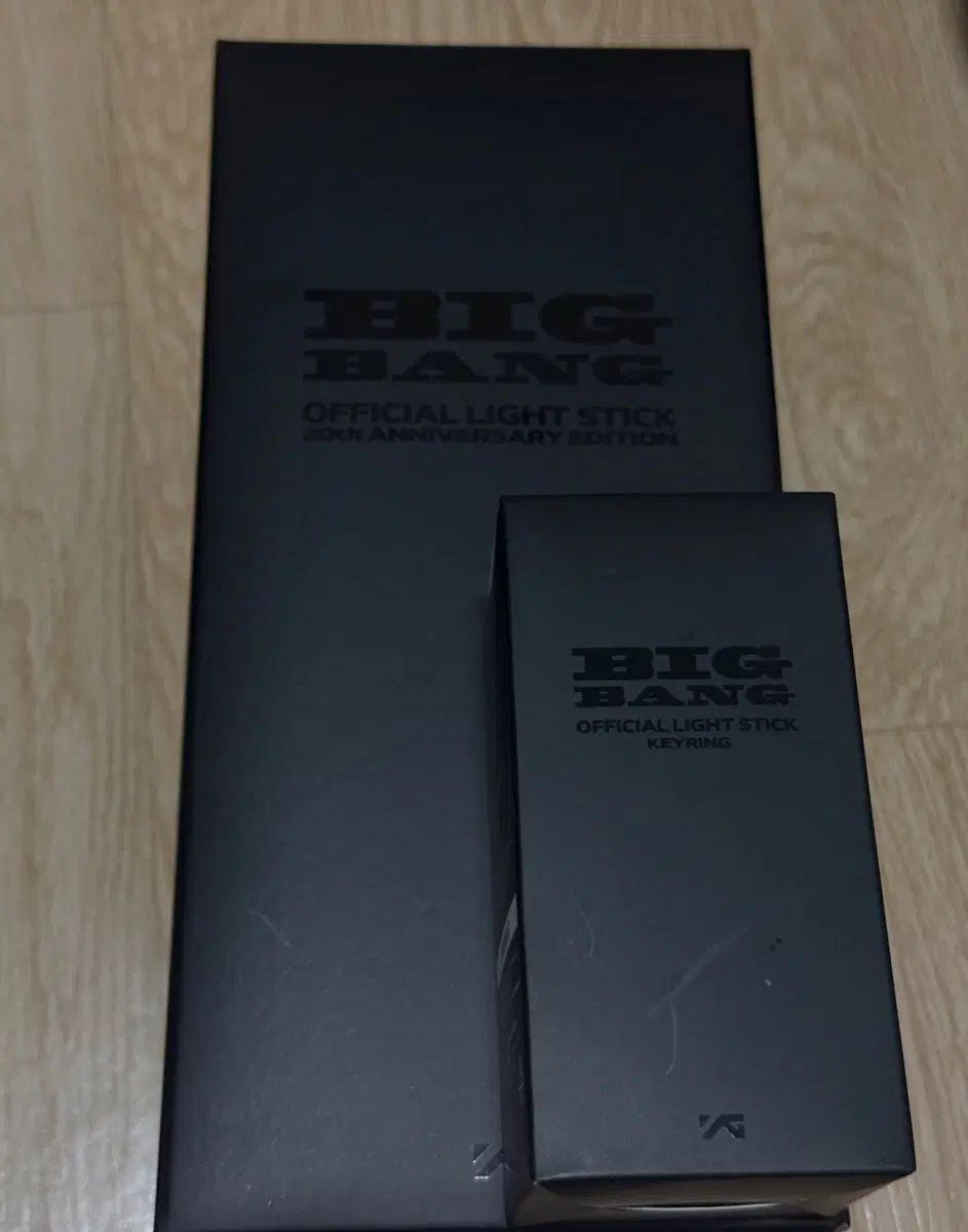 BIGBANG(ビッグバン) 公式 ペンライト 20周年エディション + ペンライト キーホルダー 未開封 セット