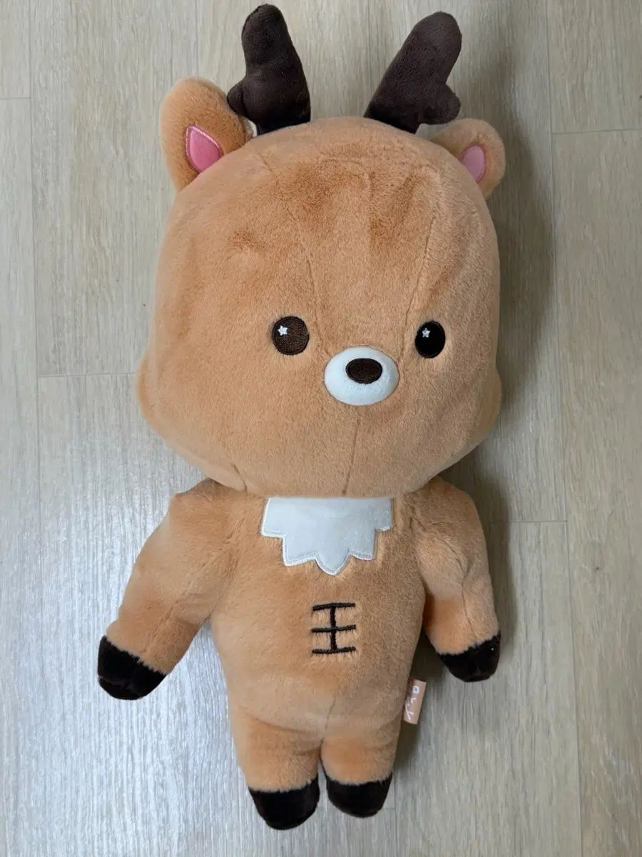 RIIZE ソンチャン ウラクバン 40cm