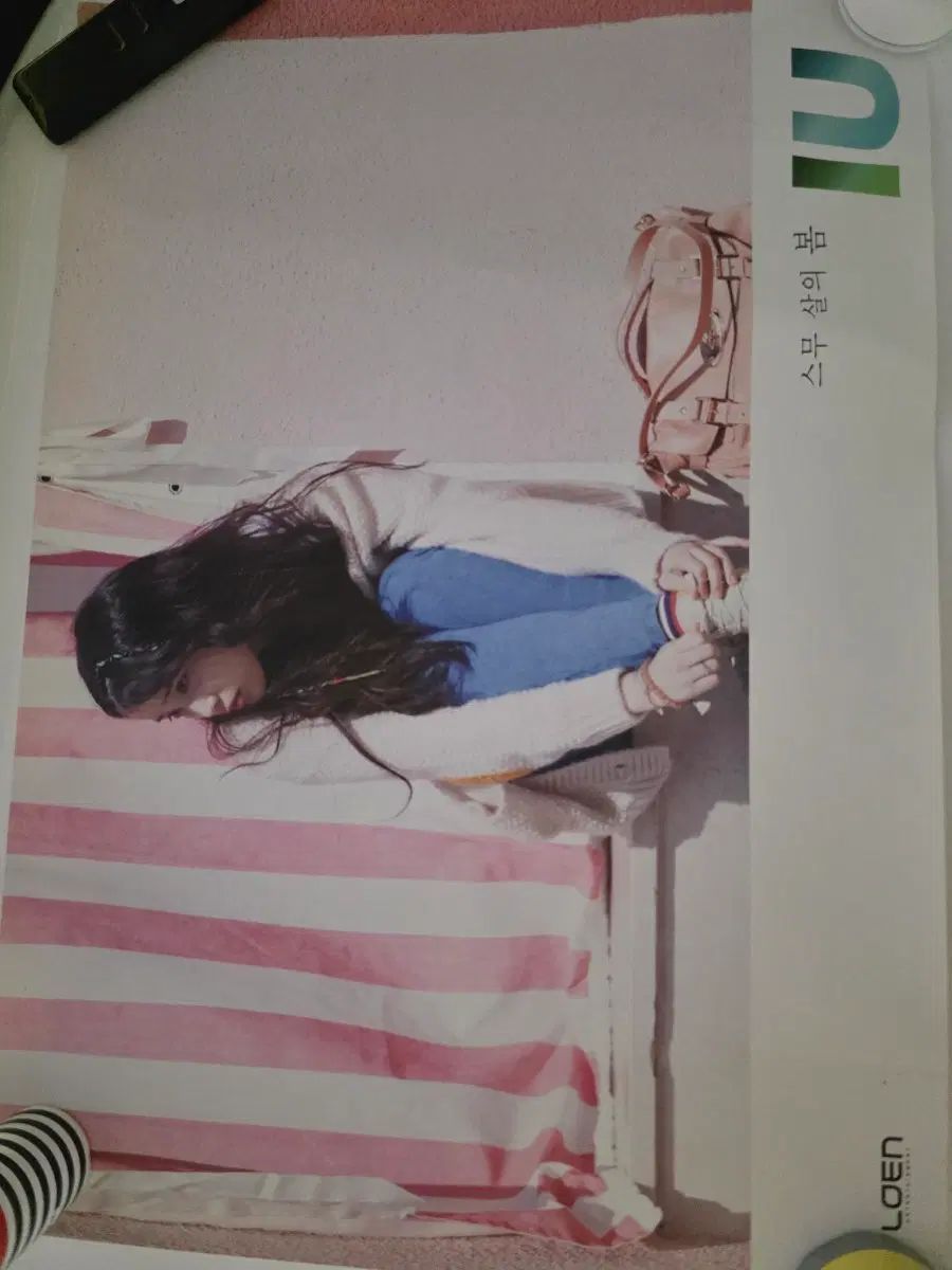 IU 20歳の春 ポスター 7,892円