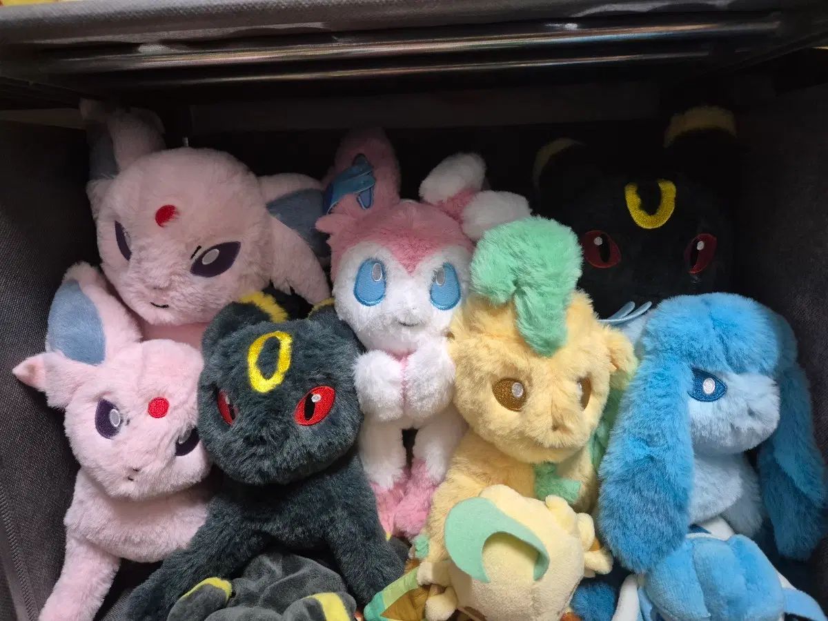 ポケットモンスター クタクタタッタ ニンフィア S ぬいぐるみ IN 7,596円
