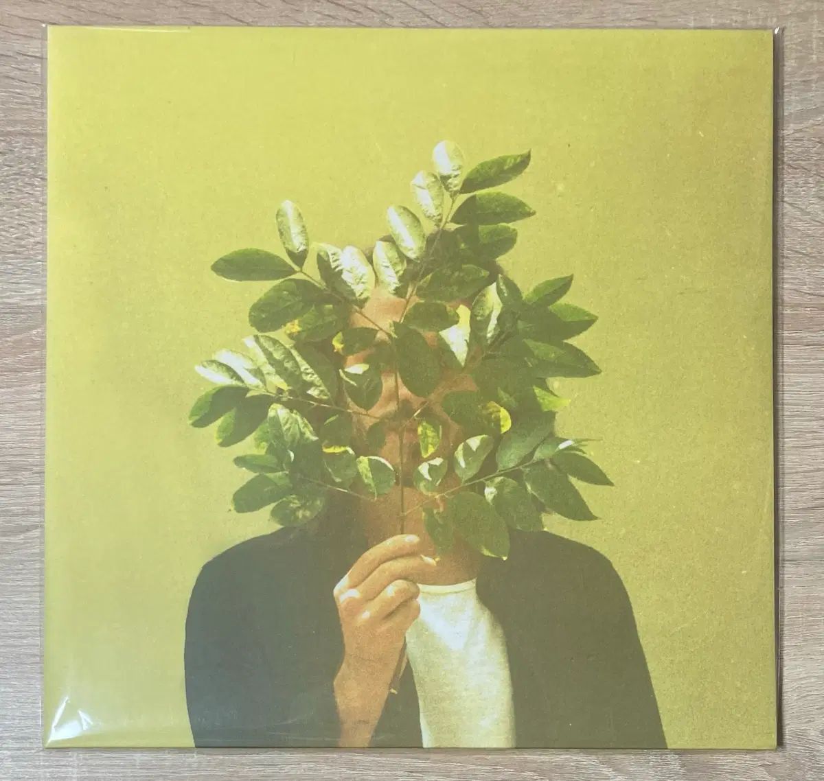 FKJ ー French Kiwi Juice 限定盤 LP 出品 19,040円