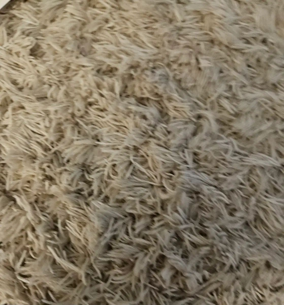 Han 決済画面3