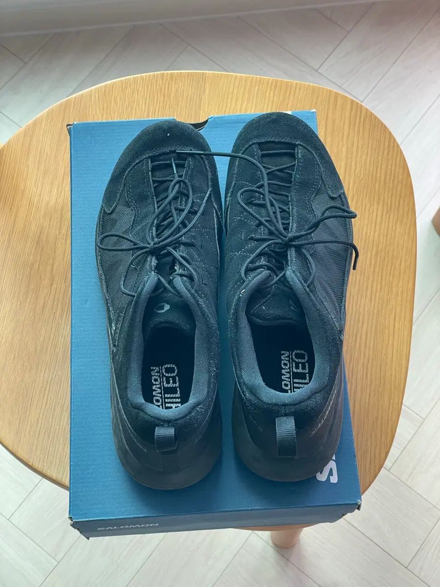 SALOMON サロモン アルパイン アルファ パイナップル SP2 フィレオ 275
