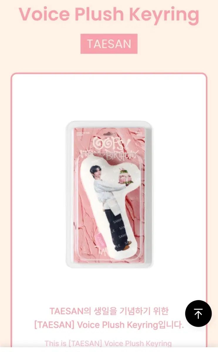 TAESAN Voice Plush Keyring 出品 7,431円