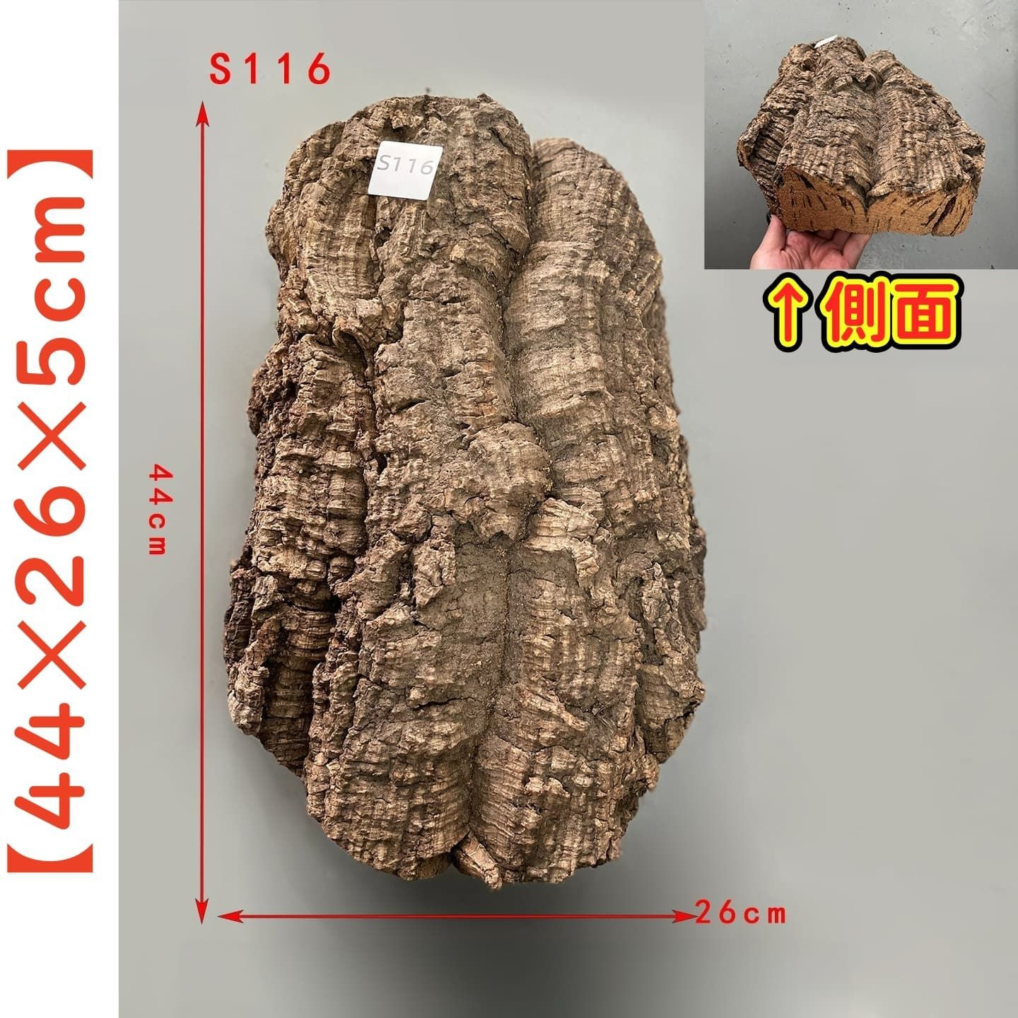 S116 高品質　ポルトガル産 厚め コルク樹皮 コルク板　バージンコルク チランジア　ビカクシダ　着生ラン　両生類　爬虫類　　コウモリラン　板付　エアープランツ 鳥用おもちゃ 植物用　水槽用　壁飾り　天然素材　DIY　大人気 7,400円