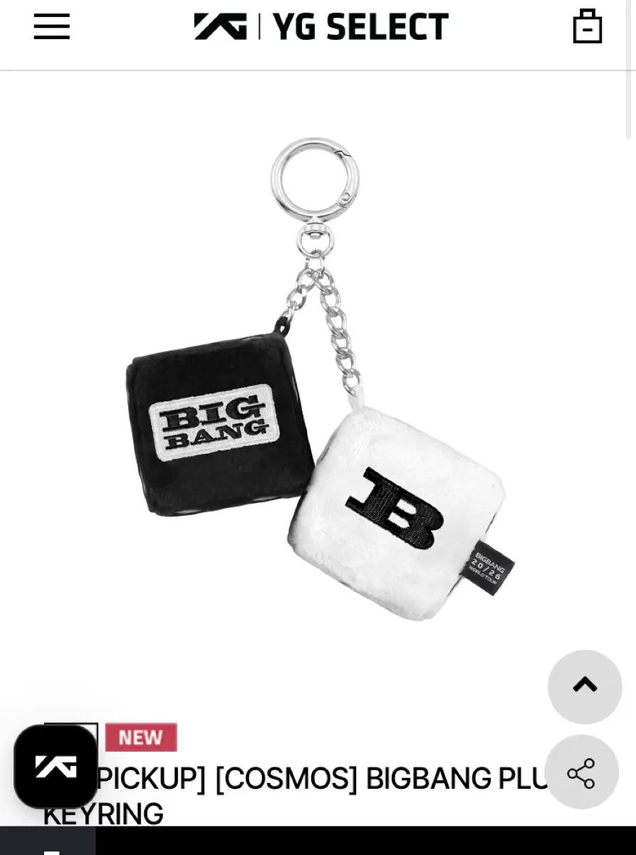 BIGBANG(ビッグバン) 20周年 plush(プラッシュ) キーホルダー 6,356円