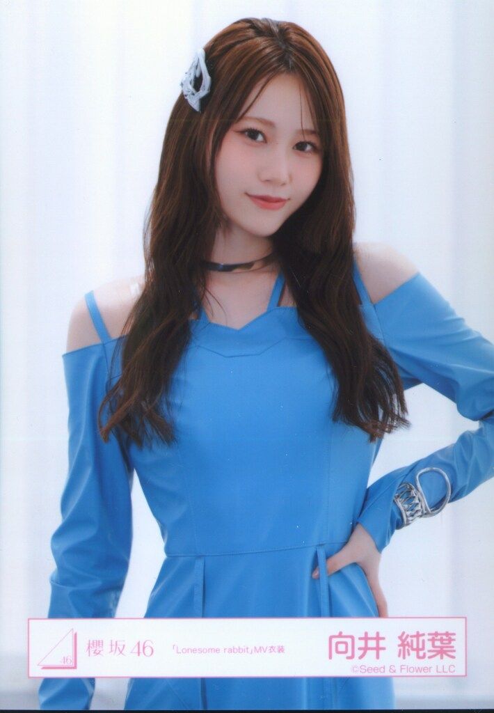 櫻坂46 Lonesome rabbit / What's “KAZOKU”? 向井純葉 「Lonesome
