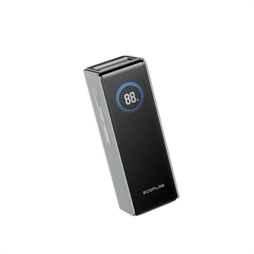 msEcoFlow RAPID 25000mAh 170W【大容量/小型/急速充電/３台同時充電/TFTディスプレイ/長寿命/過熱保護/持ち運びやすい/機内持ち込み/出張/旅行】 （シルバー） e7e0b14c