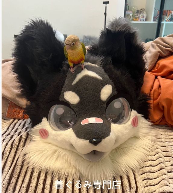 狼　犬　猫　着ぐるみ 　ヘッド ケモノ ファースーツ ぬいぐるみ コスプレ コスチューム Kurumi 一点物 E172