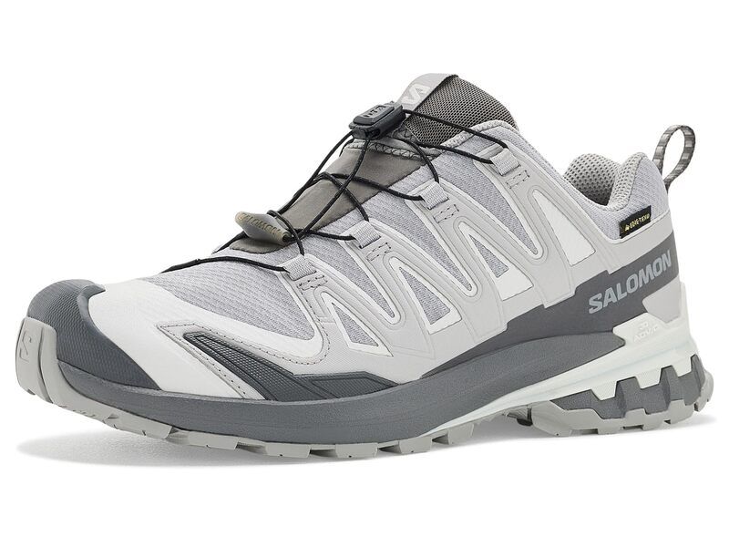 サロモン メンズ シューズ スニーカー Salomon XA Pro 3D V9 GORETEX AlloyCastleroc