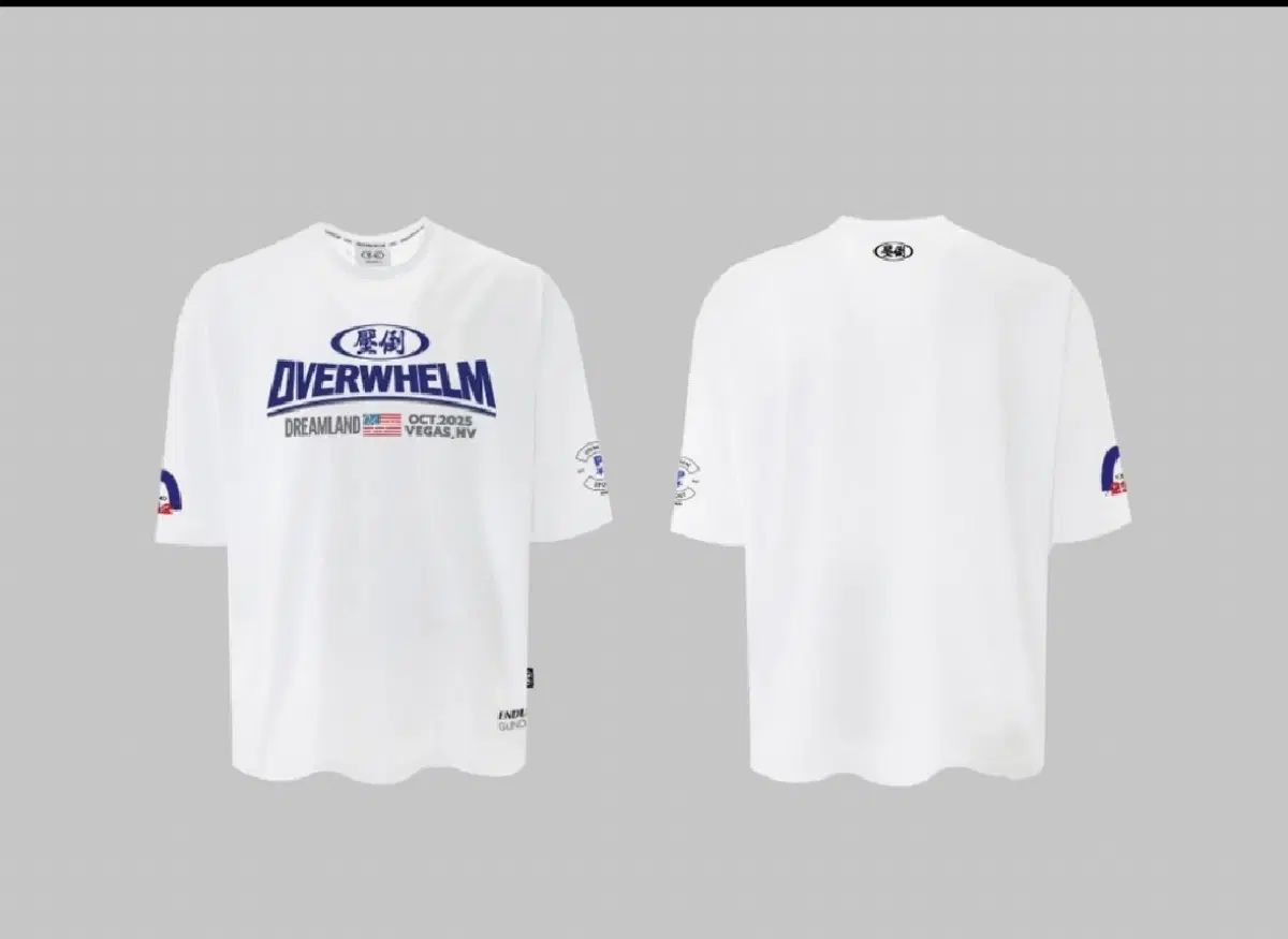 圧倒 半袖 L サイズ3 未開封新品 **ALLRIGHT BORN TO WIN FREEDOM** hdex トレーニングウェア