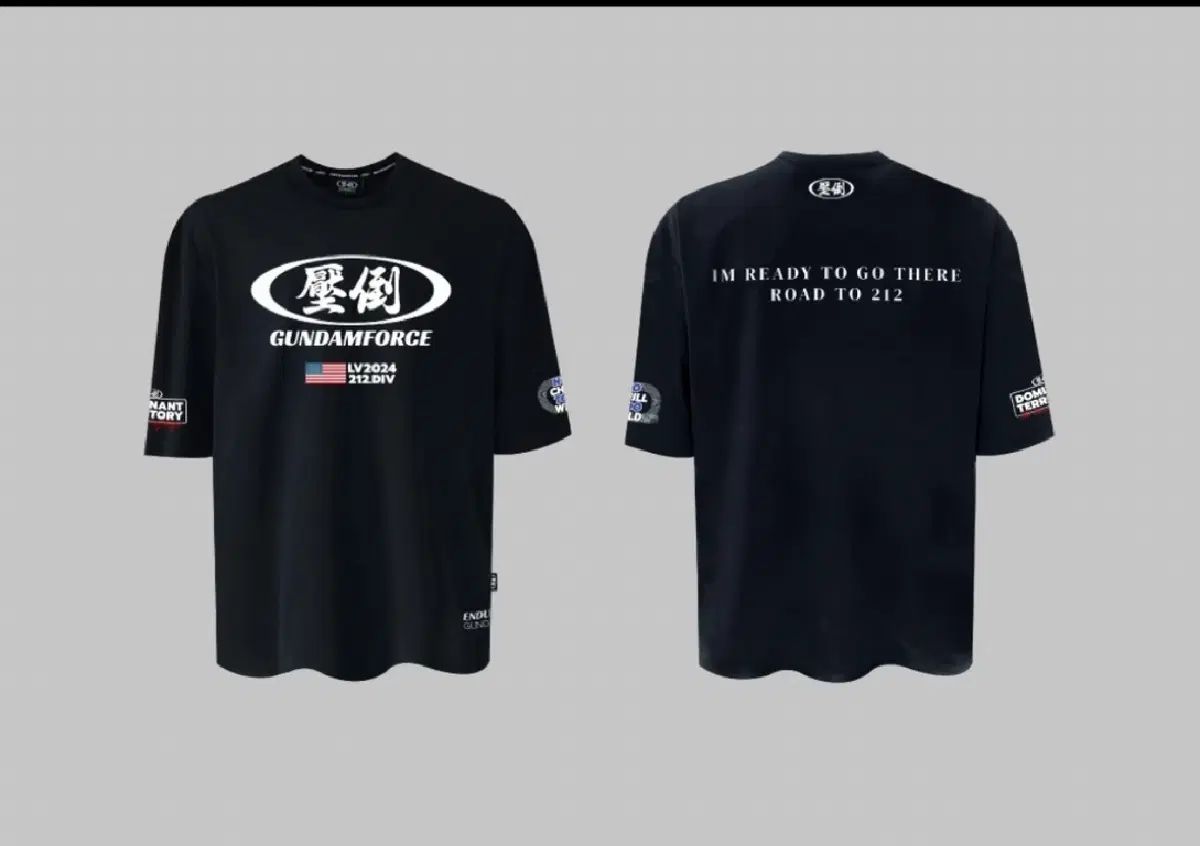 圧倒 半袖 L サイズ3 未開封新品 **ALLRIGHT BORN TO WIN FREEDOM** hdex トレーニングウェア