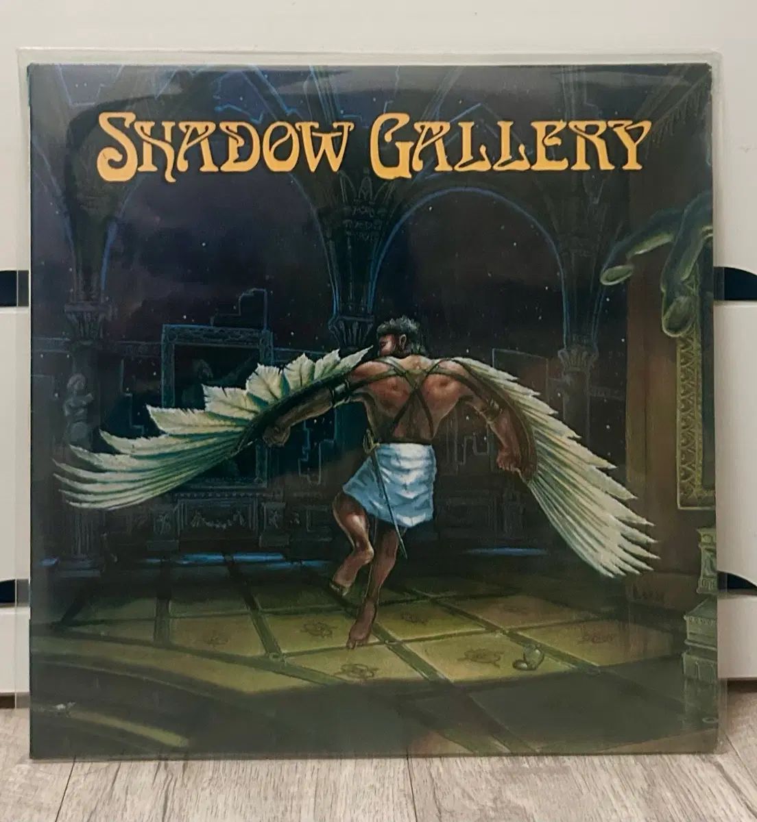 Shadow gallery lp