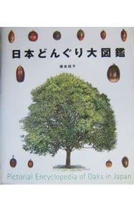 日本どんぐり大図鑑／北岡明彦