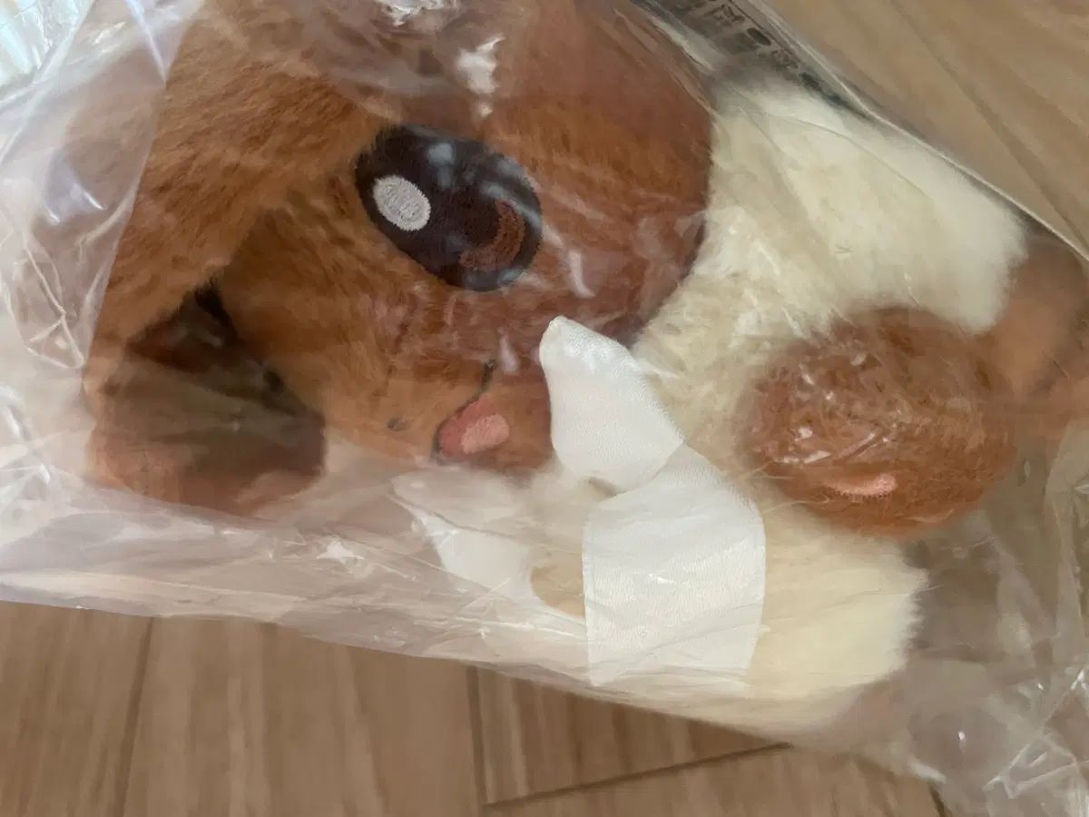 ポケットモンスター ハイファイブ イーブイ ぬいぐるみ 7,317円