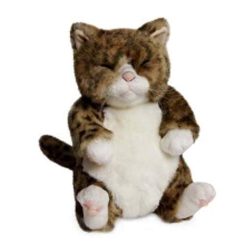 ちびピン　カドリー(Cuddly)　　猫のぬいぐるみ