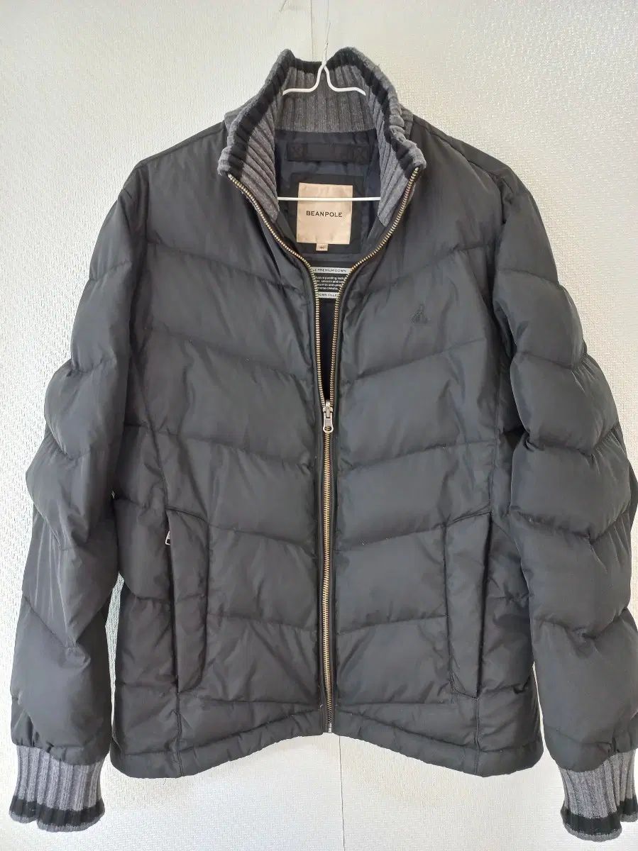BEAN POLE ビーンポール ダックダウン ダウンジャケット (100)