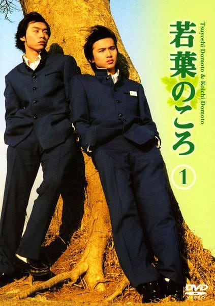 【中古】 若葉のころ (6巻セット) [レンタル落ち] [DVD]