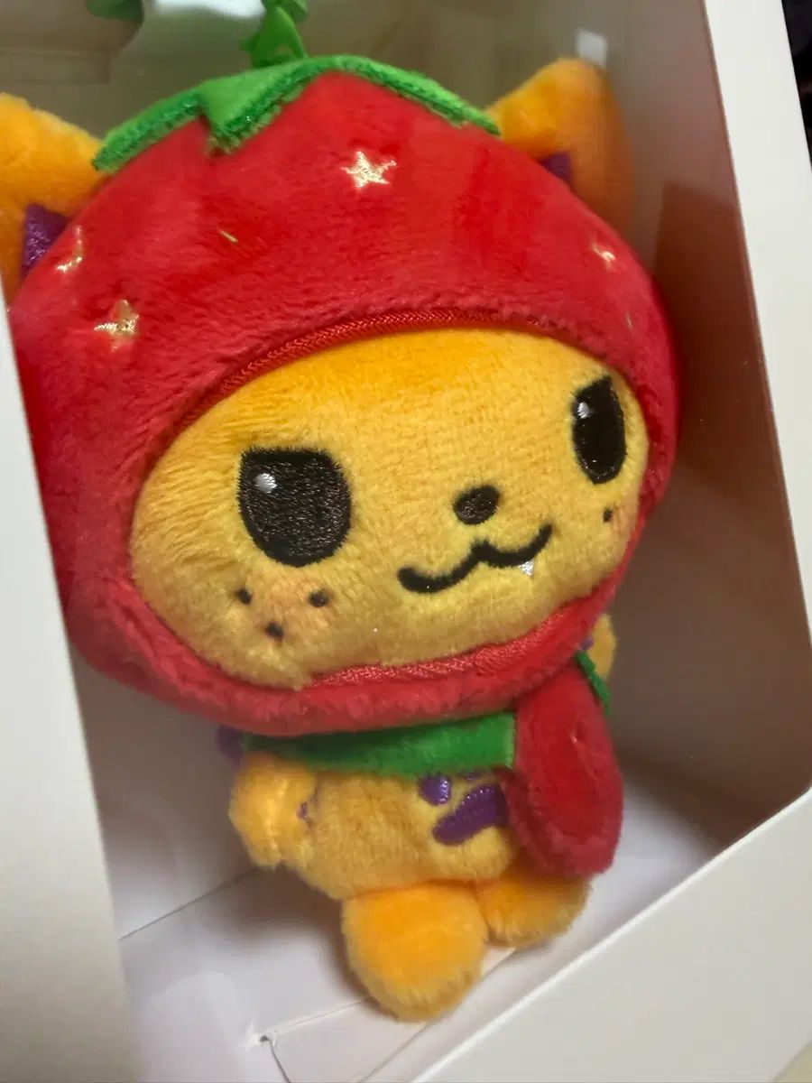 WIND AND WISH ベリー シオニング 新品