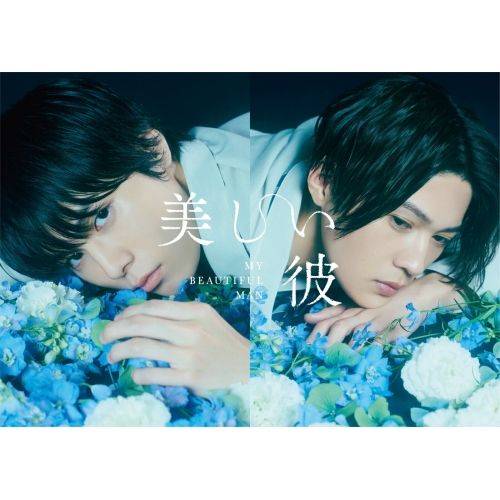 【Blu-ray】萩原利久/八木勇征 / 美しい彼 Blu-ray BOX(Blu-ray Disc) (TCBD-1223)