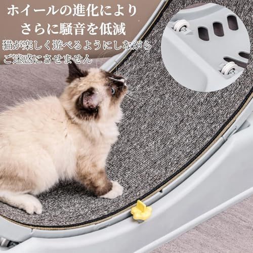キャットホイール 猫 回し車 低騒音 運動 大型猫用 (ブルー) | 低騒音設計, 大型猫対応, 室内運動に最適, 簡単組み立て, 猫の健康維持mt 1a23cd89