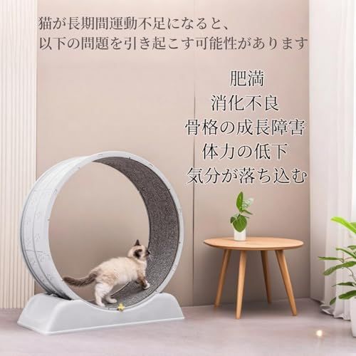 キャットホイール 猫 回し車 低騒音 運動 大型猫用 (ブルー) | 低騒音設計, 大型猫対応, 室内運動に最適, 簡単組み立て, 猫の健康維持mt 1a23cd89