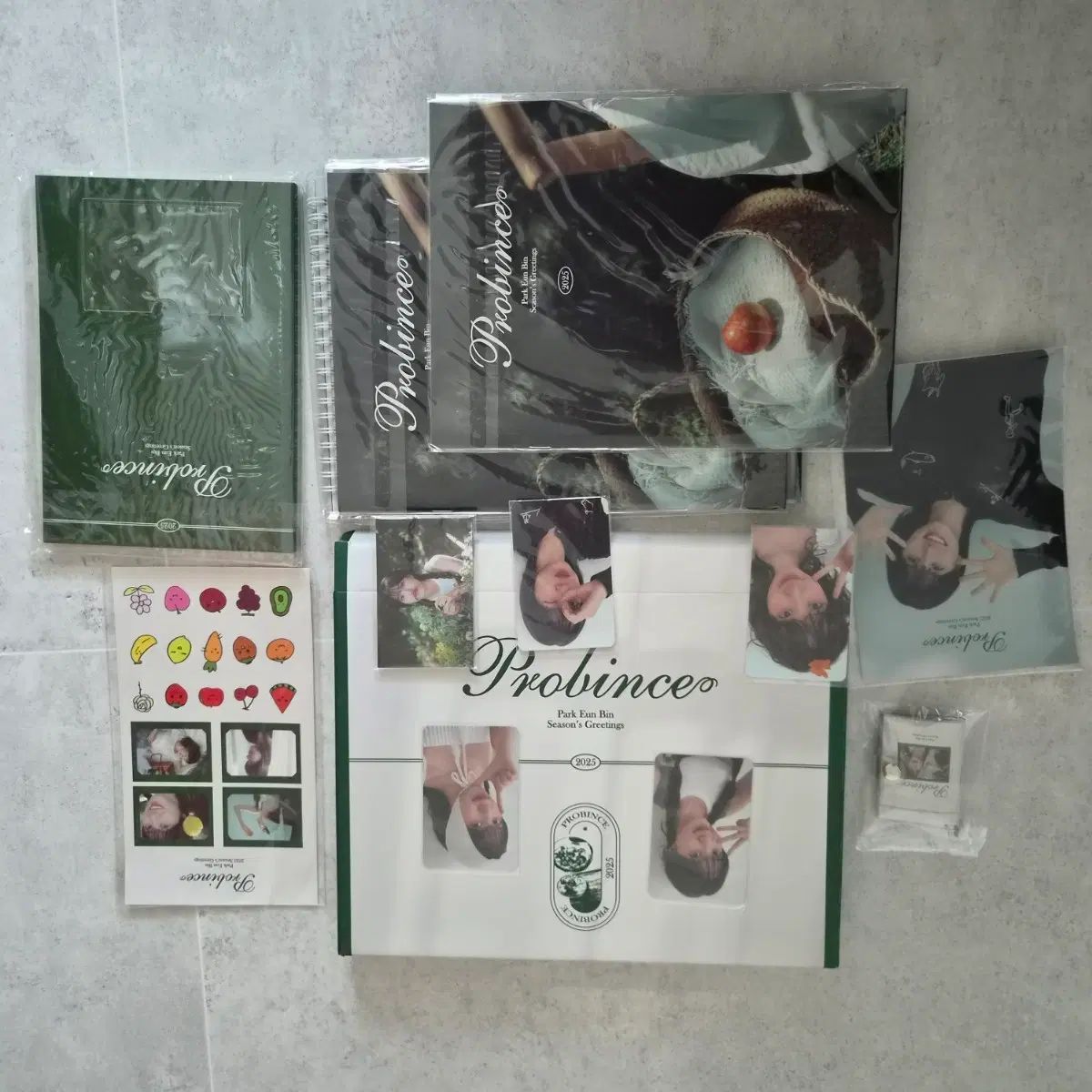 パク・ウンビン(PARK EUNBIN) シーズン グリーティング 2025 出品 6,940円