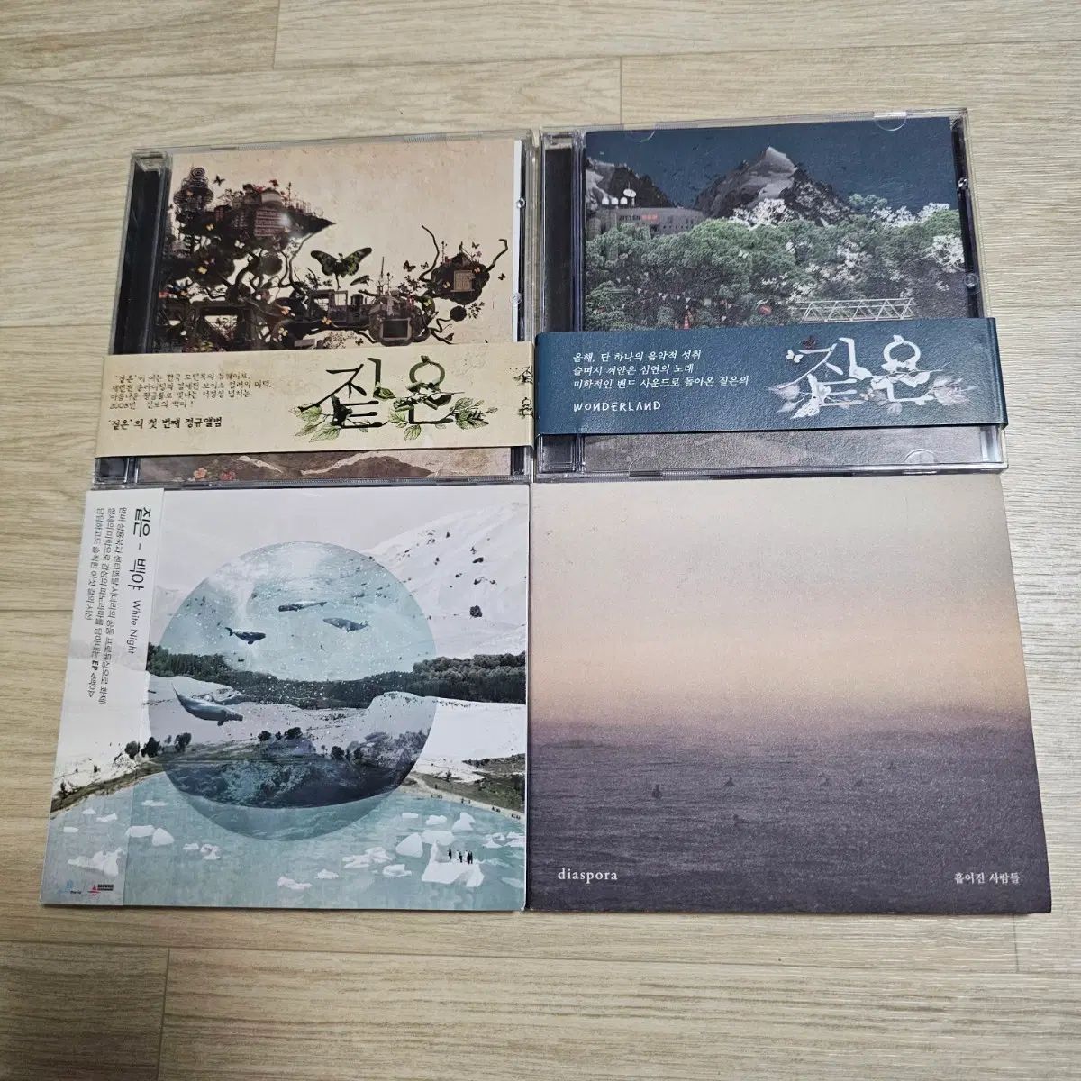 高密度 CD 4 腸 まとめ売り 出品