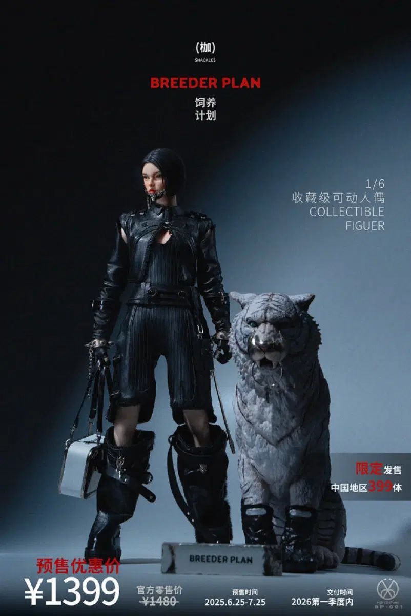 未開封 POP COSTUME BP-001 ブリダープラン シャクレル 1/6 アクション フィギュア