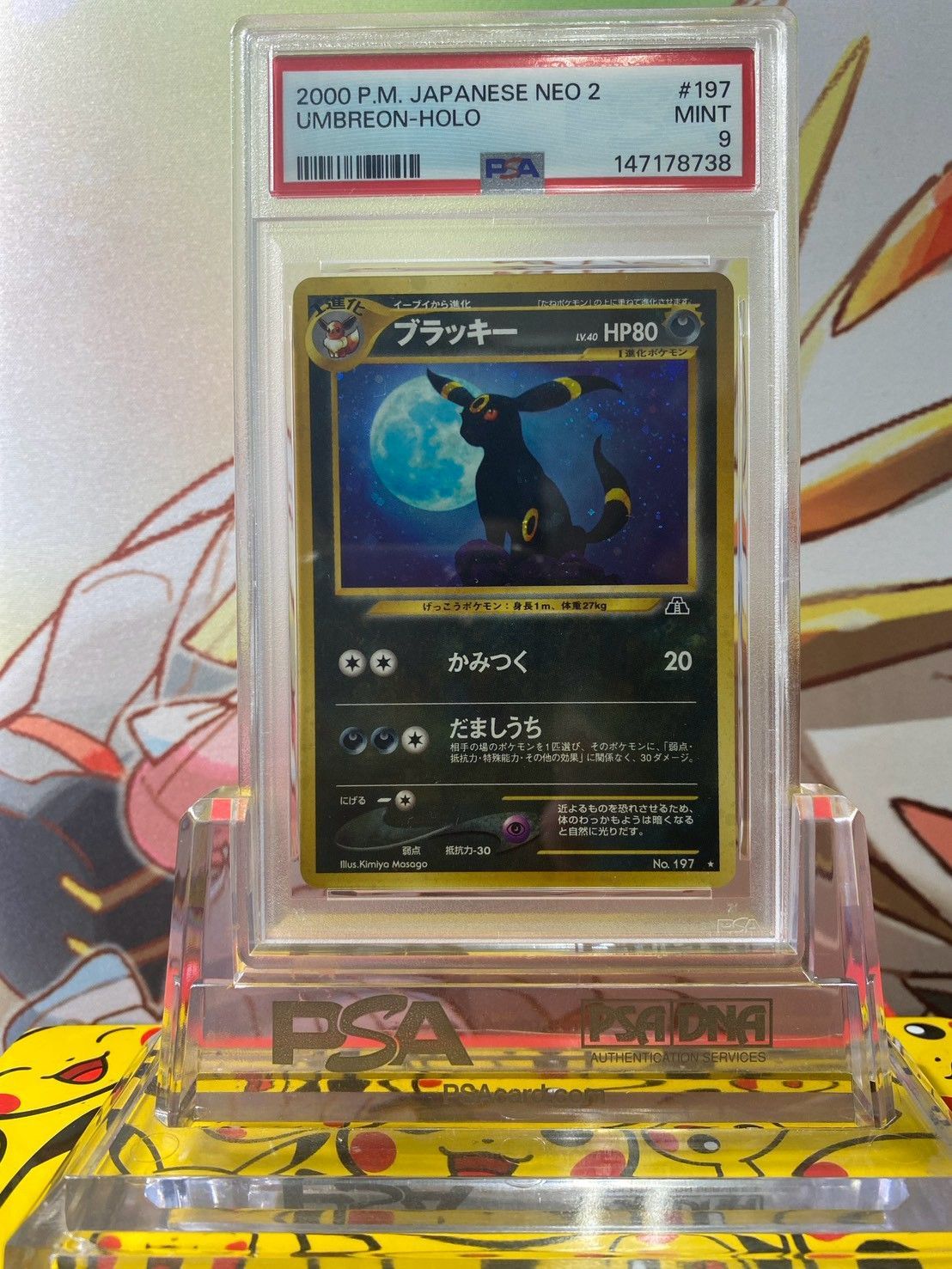 PSA9 ブラッキー ホロ neo2 遺跡をこえて 旧裏 No.197