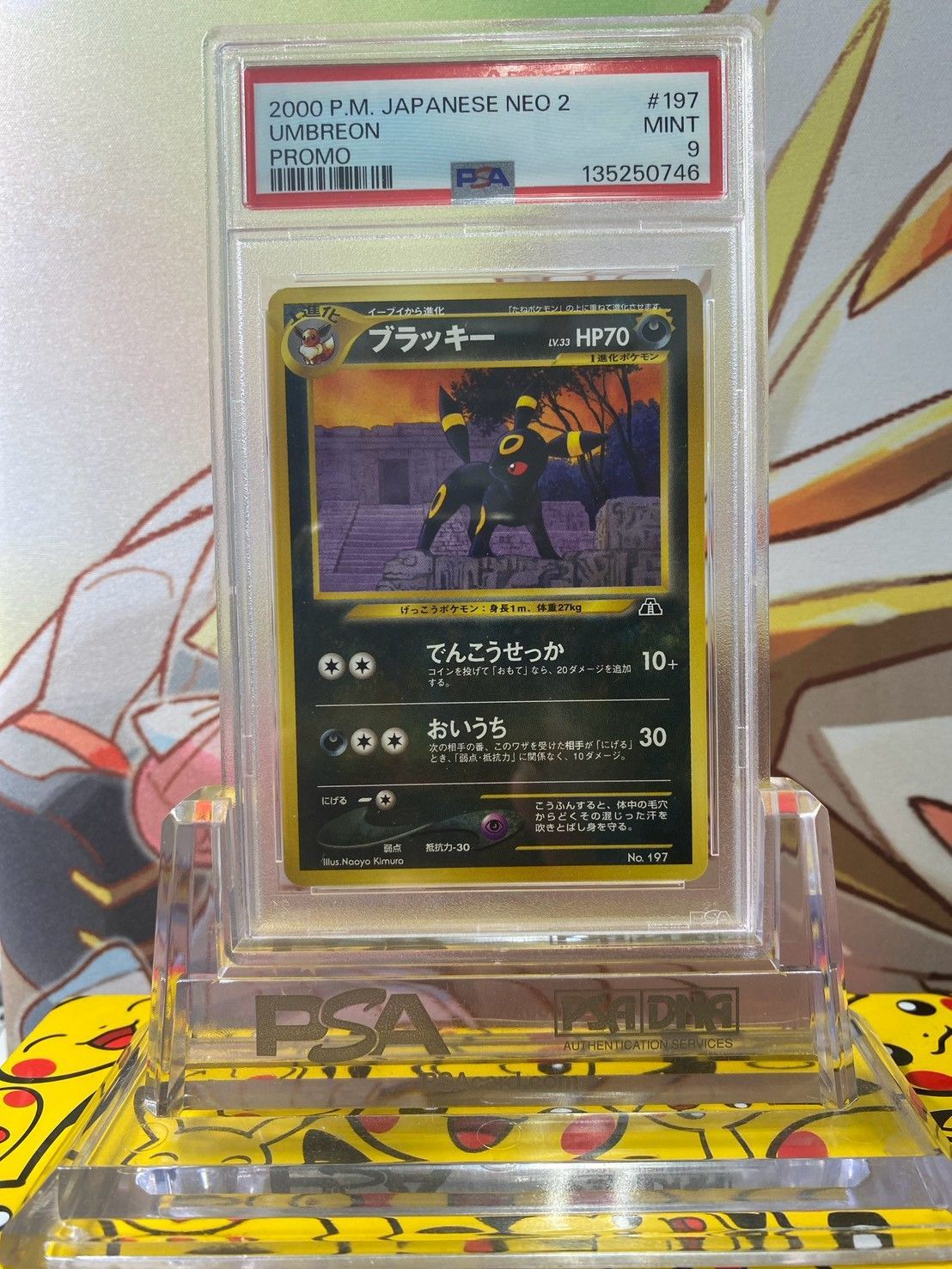 PSA9 ブラッキー プロモ neo2 旧裏 No.197