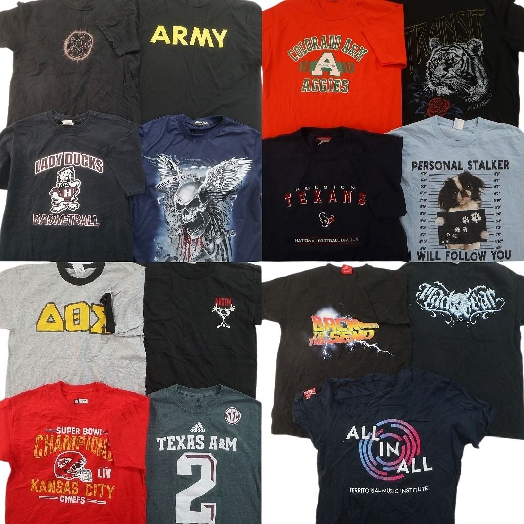 古着卸 まとめ売り プリント Tシャツ 15枚セット ( メンズ M ) リンガーT アニマル ミリタリー ARMY スカル柄 カレッジ風 中古 古着 NG3678