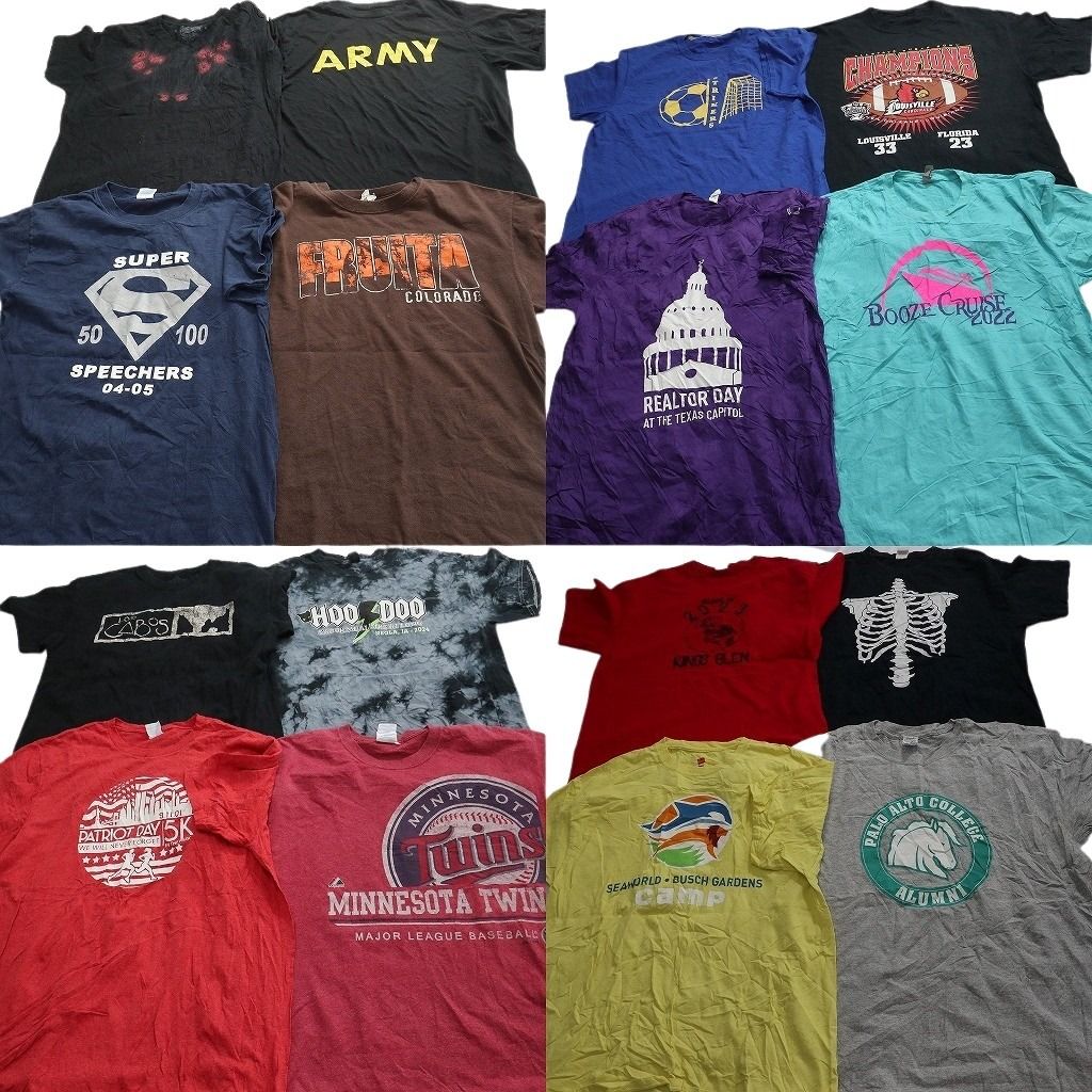 古着卸 まとめ売り プリント Tシャツ 16枚セット ( メンズ L ) ミリタリー ARMY カレッジ風ロゴ プロチーム MLB ツインズ 中古 古着 NG3686