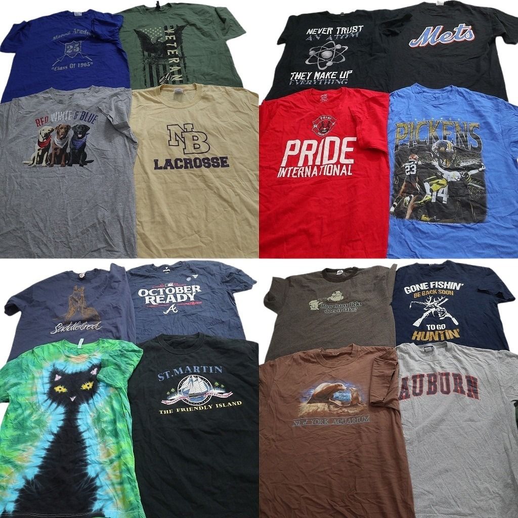 古着卸 まとめ売り プリント Tシャツ 16枚セット ( メンズ XL ) リンガーT アニマル プロチーム MLB ブレーブス メッツ 中古 古着 NG3691