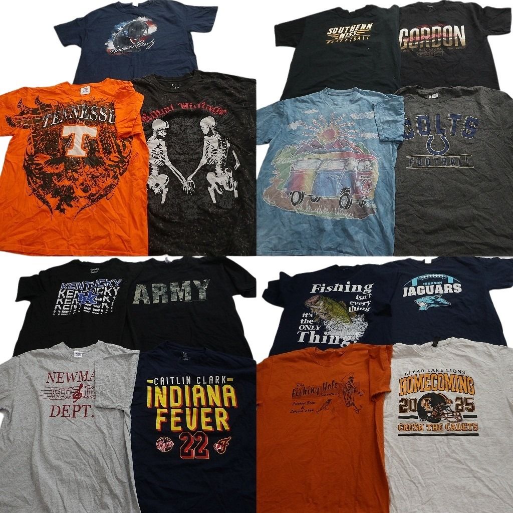 古着卸 まとめ売り プリント Tシャツ 15枚セット ( メンズ L ) フィッシング ミリタリー ARMY スカル柄 アニマル 中古 古着 NG3694