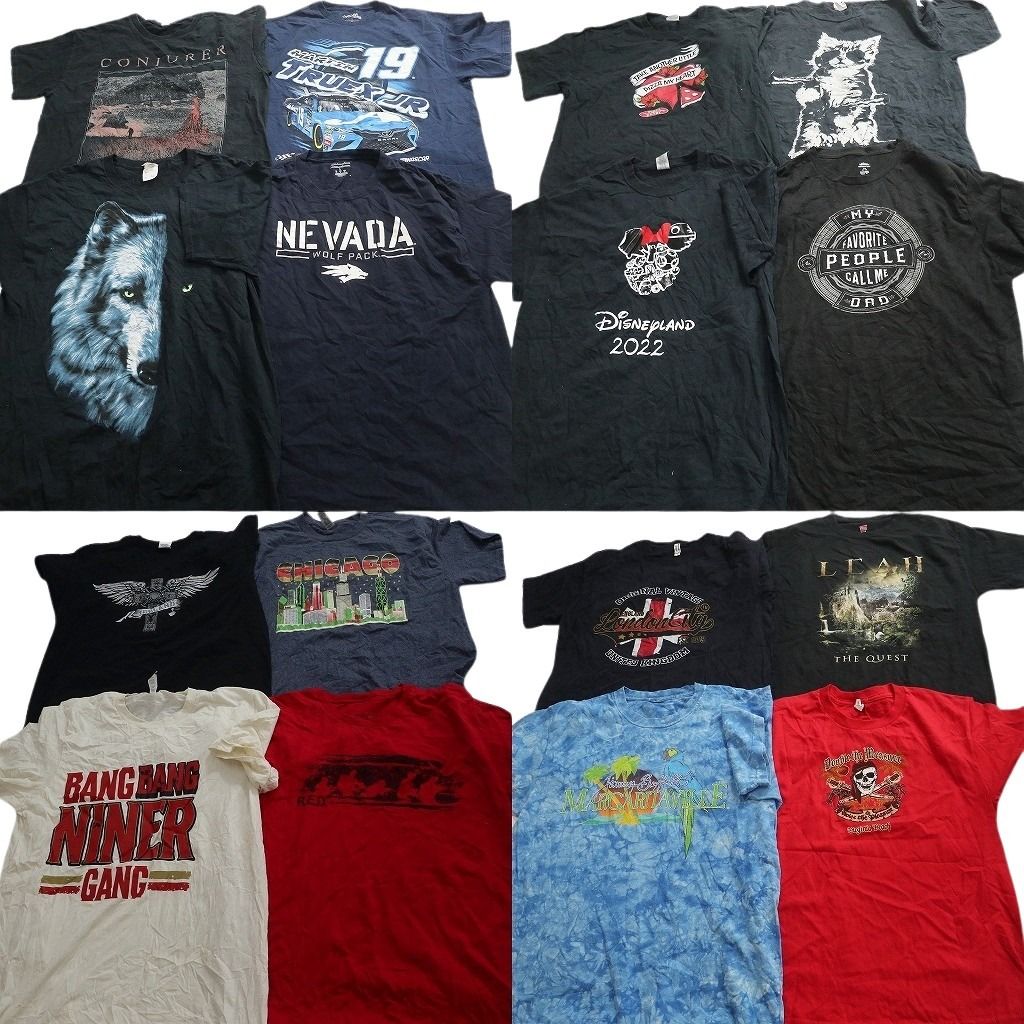 古着卸 まとめ売り プリント Tシャツ 16枚セット ( メンズ L ) スカル柄 アニマル オオカミ レーシング ブラック 中古 古着 NG3699