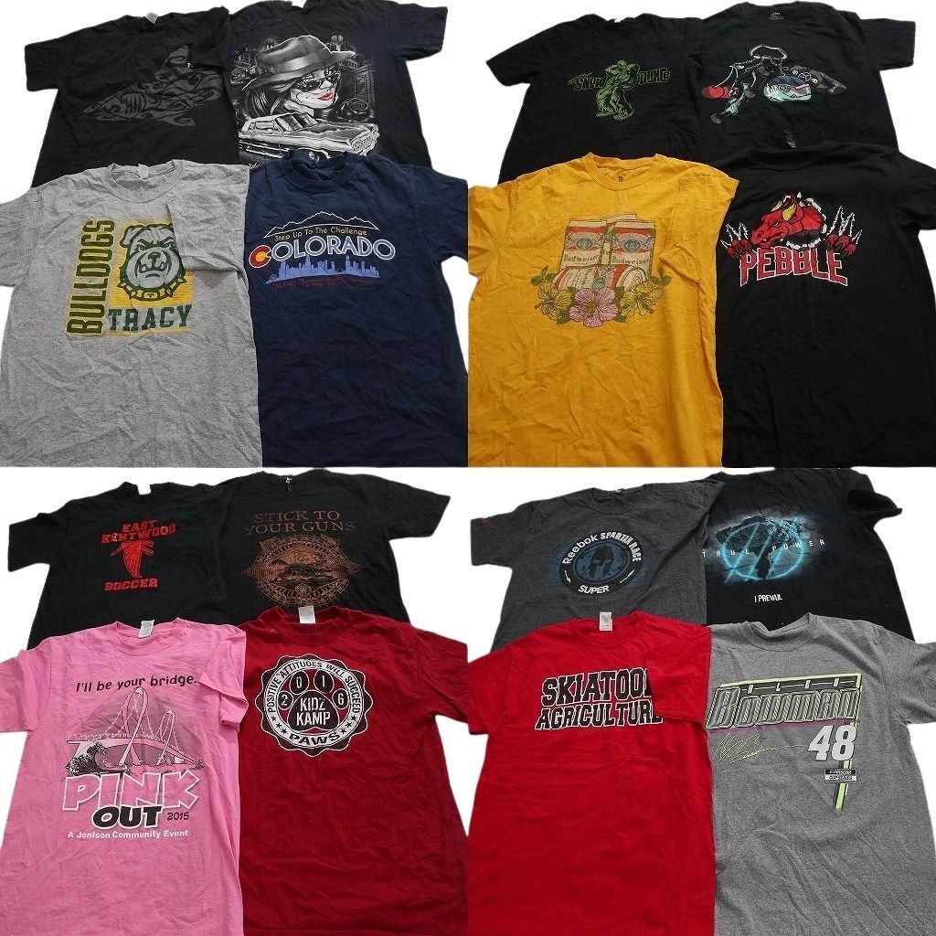 古着卸 まとめ売り プリント Tシャツ 16枚セット ( メンズ M ) アーチロゴ アニマル バドワイザー ビッグプリント ブラック 中古 NG3700