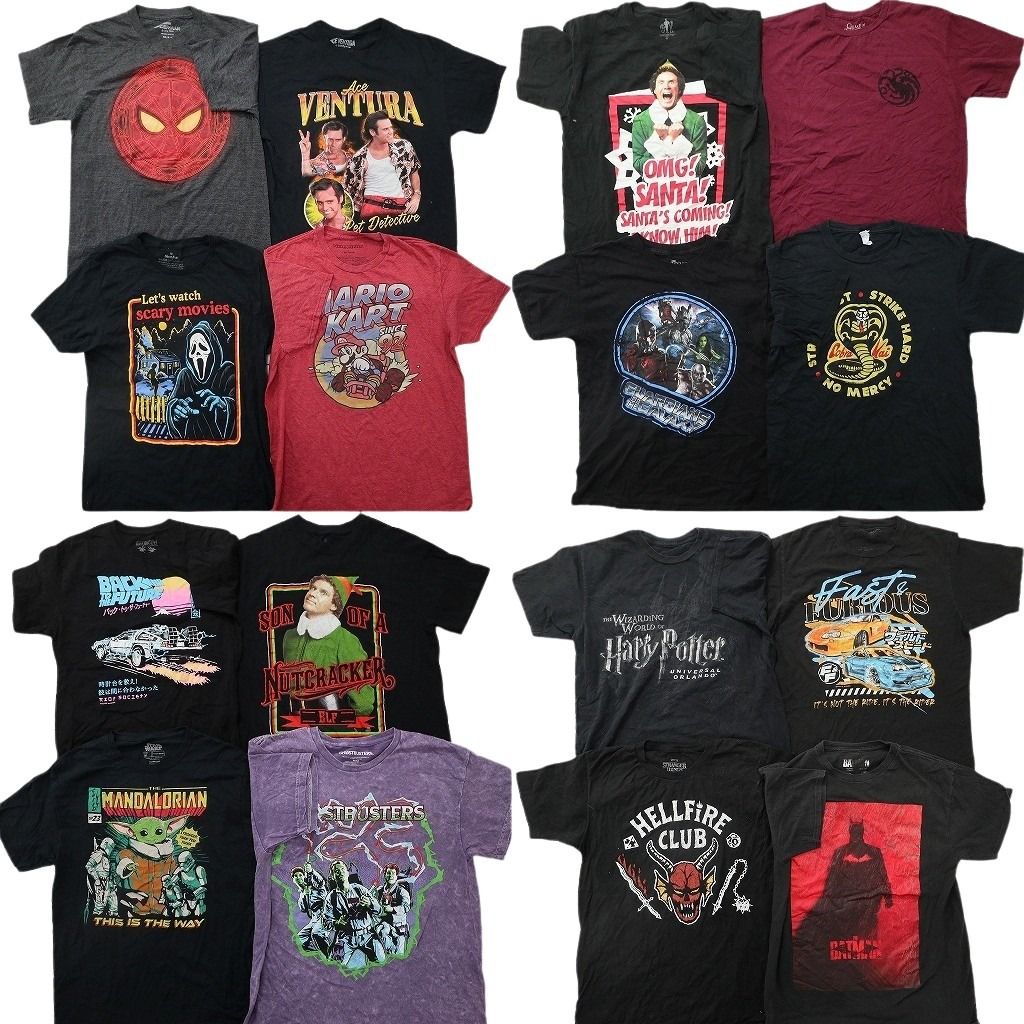 古着卸 まとめ売り 映画・ドラマ Tシャツ 16枚セット ( メンズ M ) ハリーポッター バックトュザフューチャー 中古 古着 NG3753