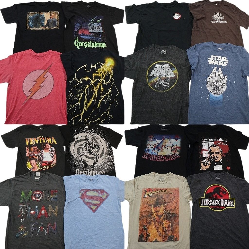 古着卸 まとめ売り 映画・ドラマ Tシャツ 16枚セット ( メンズ M ) フラッシュ ジュラシックパーク インディージョーンズ 中古 古着 NG3796 13,950円
