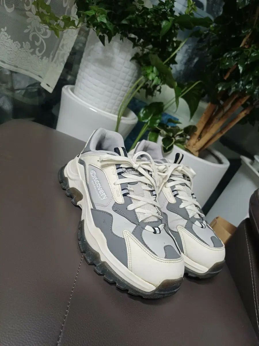 DISCOVERY エクスペディション メンズ スニーカー 260mm