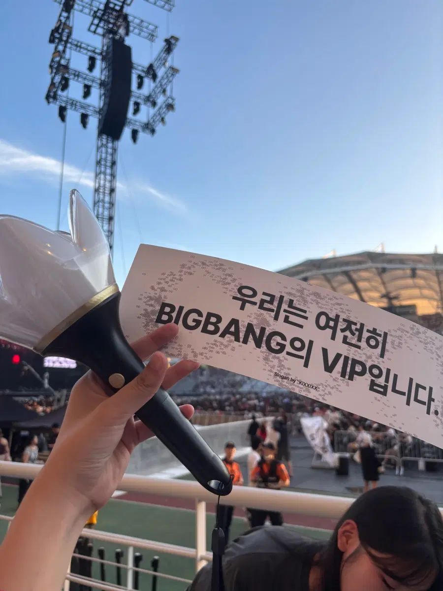 ビッグバン ペンライト VIP