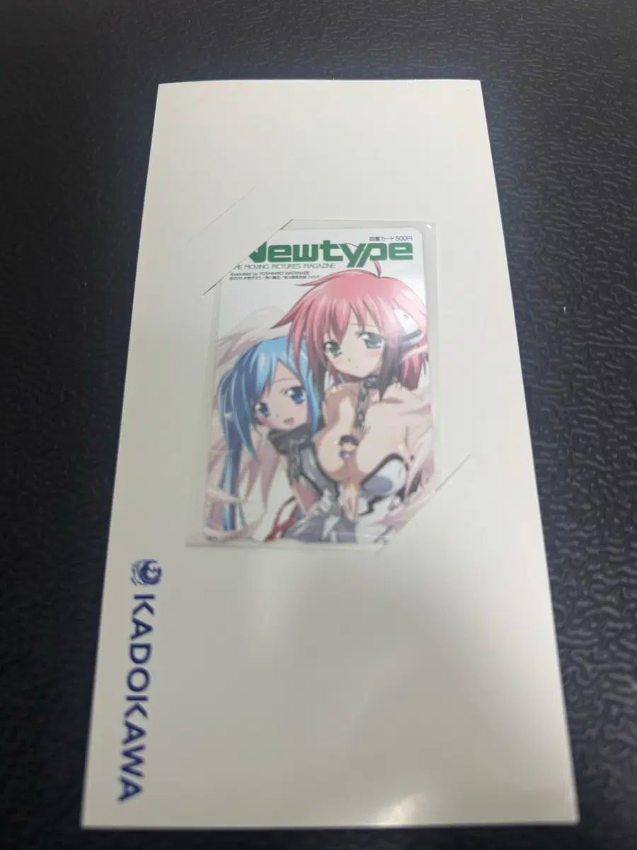 スカイの遺失物 当選品 newtype 2010年 図書カード 未使用