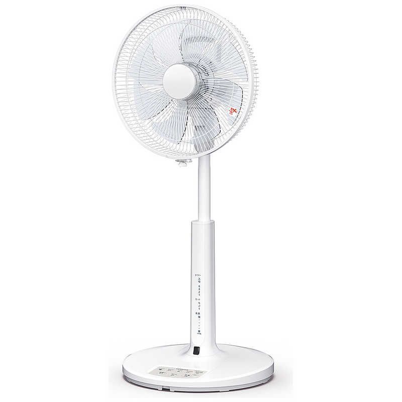 30cm 8枚