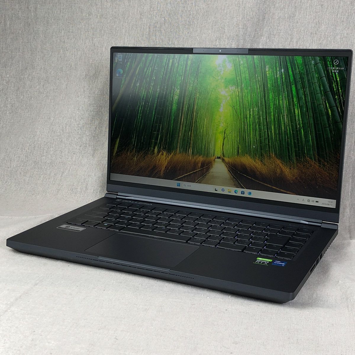 ◆ 정크용품/본체 전용 ◆ 게이밍 PC 갤러리아 UL7C-R36 [i7-11800h, RTX3060, 16기가바이트, SSD 1TB] /gb-junk-261703 (040262)